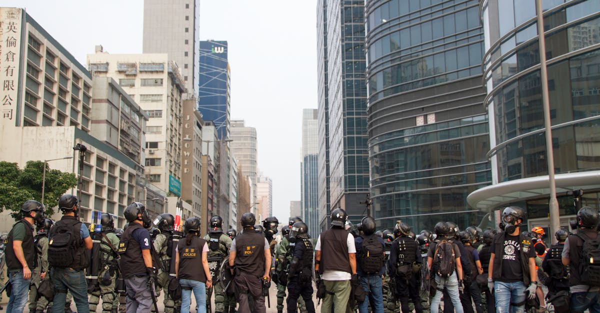 DDOS网页端平台|e宠app详情下载教程