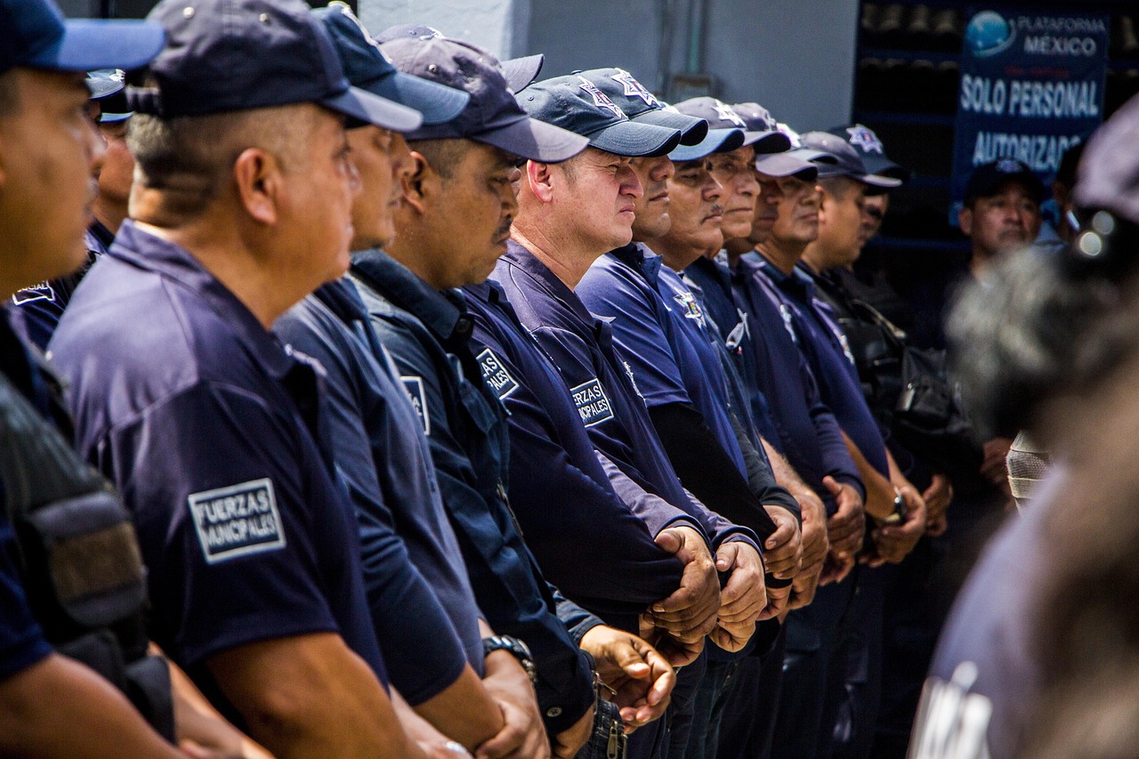 0月租实名流量卡- 随机书籍购买平台