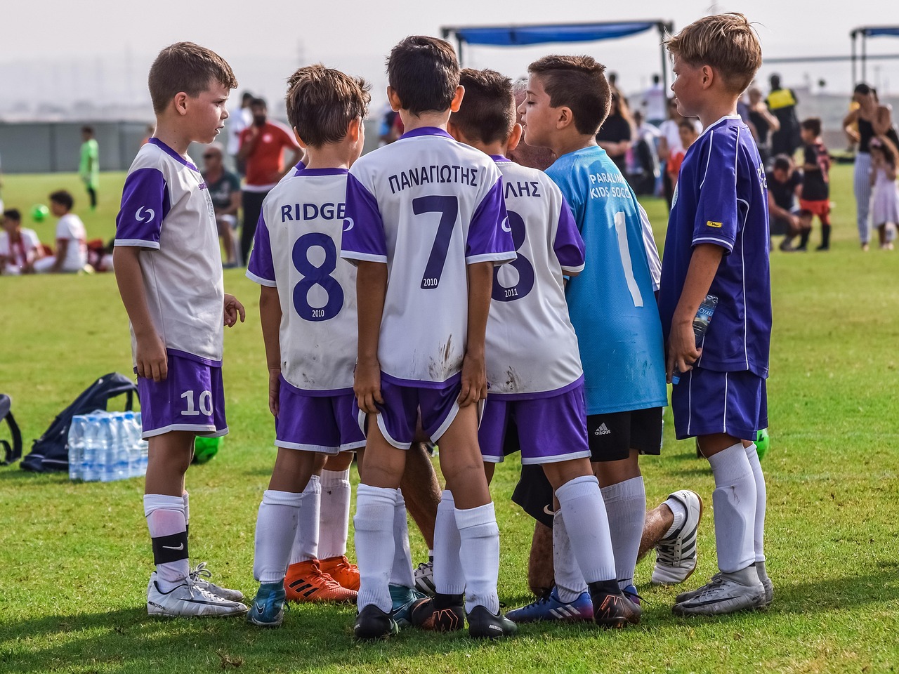 春秋项目规划，注册|餐厅大管家账号注册