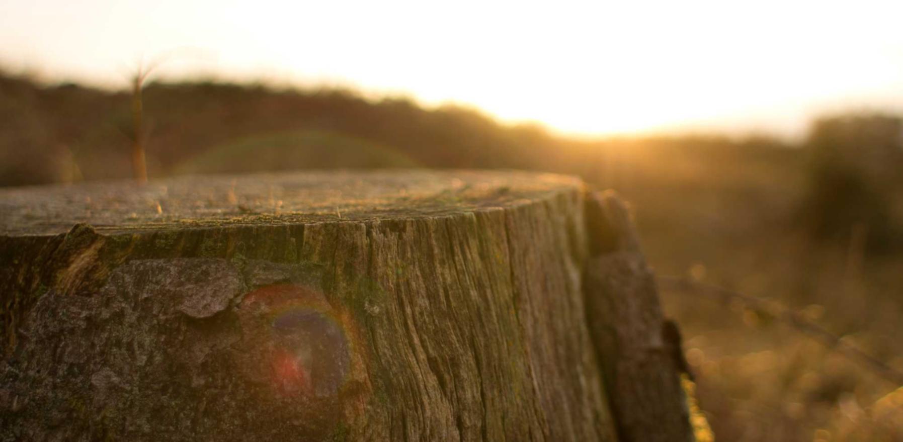 蝙蝠实名账号：实名账号：给互联网经济带来的变革？