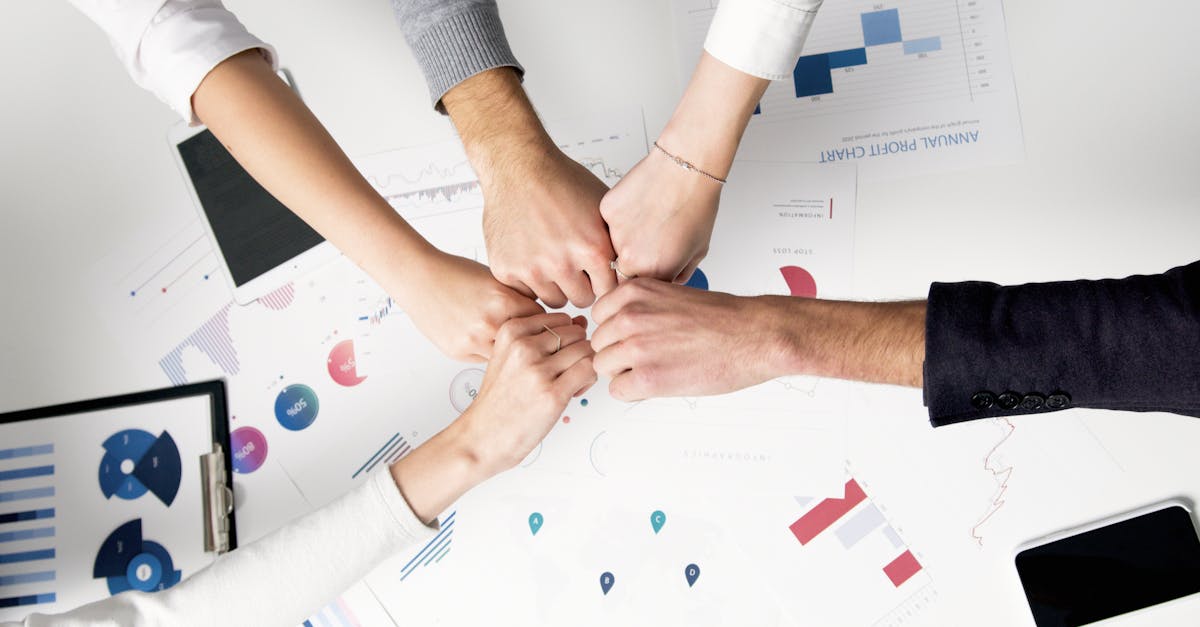 日免七星黑标（软）：标书代理公司注册