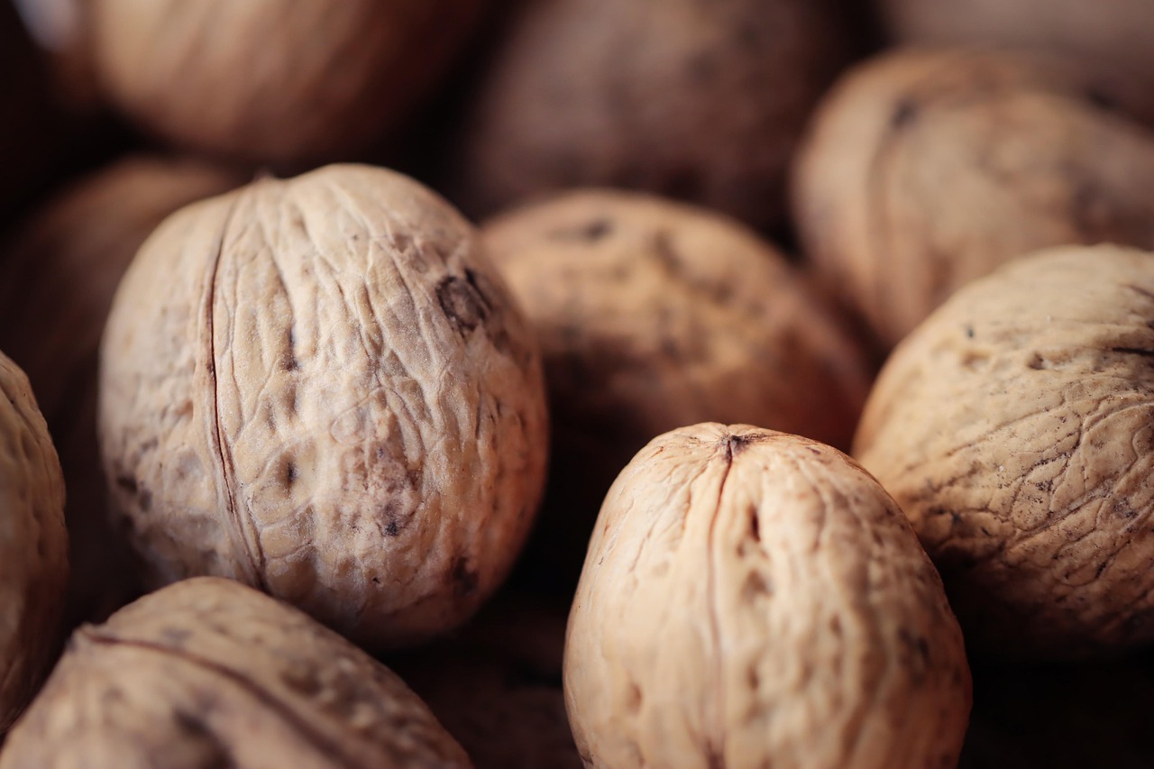 Telegram云控系统实名账号：流量卡的价格和性价比比较