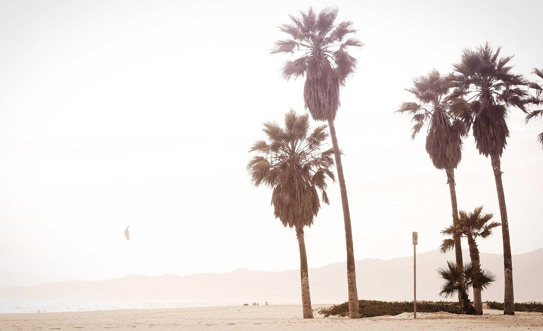 中麦通讯实名账号：温州商标代理注册机构