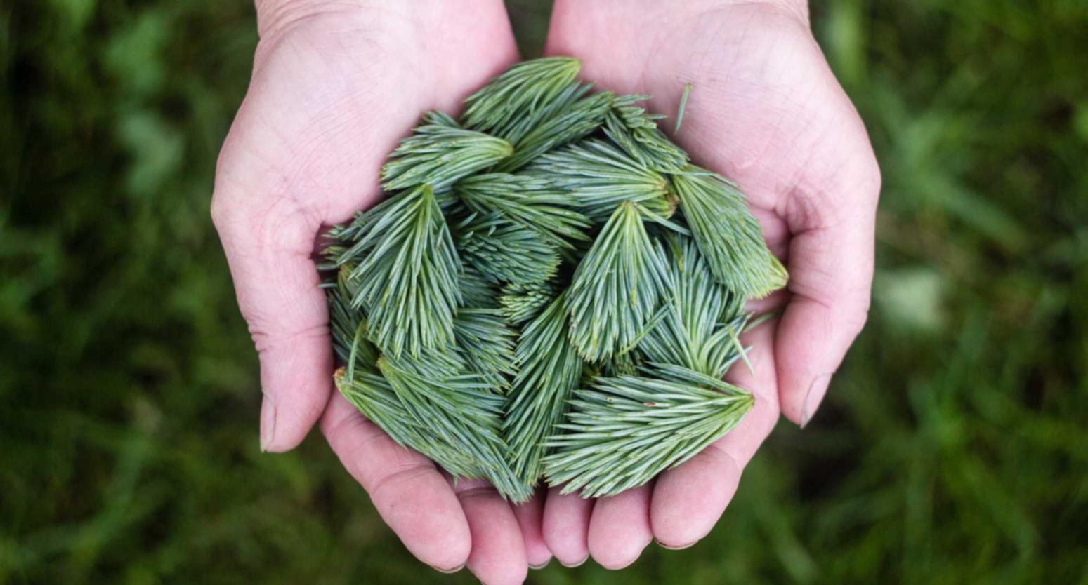 解读DDOS攻击防护服务- 银联平台代理